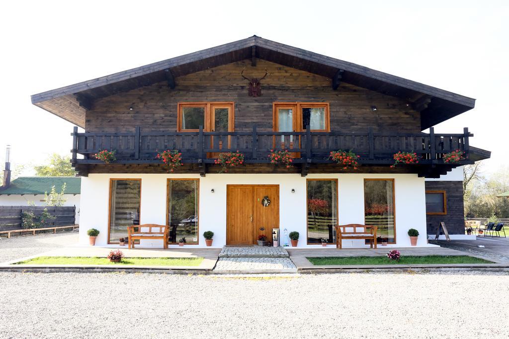 Landhaus Bed&Breakfast Vişeu de Sus Exterior foto
